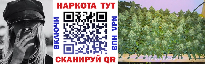 Купить закладку Гашиш  АМФ  A PVP  Галлюциногенные грибы  МАРИХУАНА  Меф мяу мяу  Шагонар