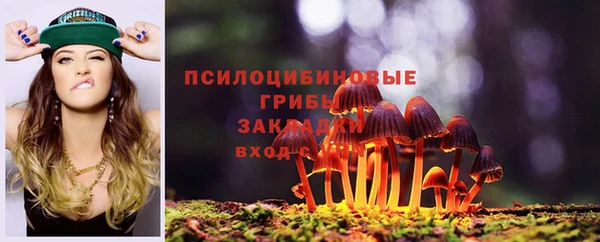 мескалин Дмитриев