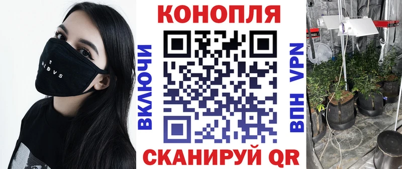 Канабис семена Шагонар
